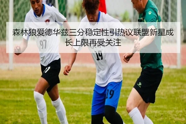 森林狼爱德华兹三分稳定性引热议联盟新星成长上限再受关注